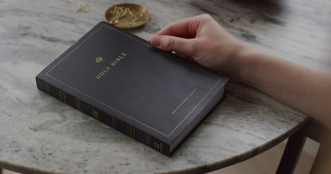 Image of ESV  Gift And Award Bible (Trutone, Black)