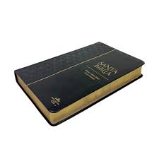 Biblia RVR 1960 Tamaño Manual Letra Grande 12 pt SÍmil Piel Rosa Azul Colección Bitono