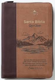 Image of Biblia RVR 1960 Letra Gigante Tamaño Manual Montes Símil Piel