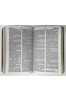 Image of Biblia RVR 1960 Letra Grande Tamaño Manual Marron Café