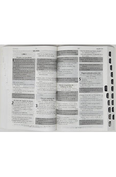 Image of Biblia RVR 1960 de Promesas Letra Gigante Marron Líneas Rústica con Índice