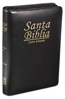Biblia RVR 1960 con Concordancia y Fuente de Bendiciónes Concordancia