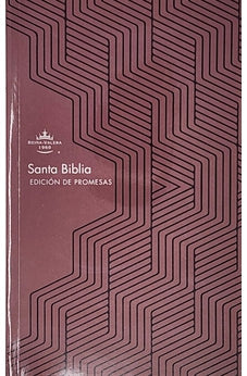 Biblia RVR 1960 de Promesas Letra Grande Marron Líneas Rústica