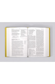 Image of ESV Systematic Theology Study Bible