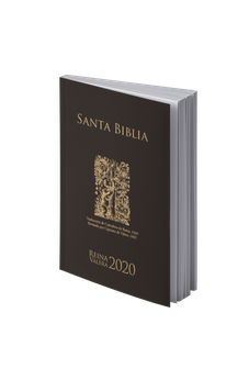 Biblia RVR 2020 Negra Rústica