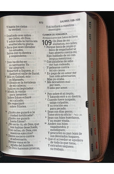 Image of Biblia RVR 1960 Letra Ultra Súper Gigante 19 puntos Piel Marron Duotone con Cierre y Índice