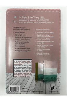 Biblia RVR 1960 Letra Grande Tamaño Manual Tricolor Rosa Blanco Turquesa