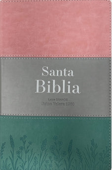 Image of Biblia RVR 1960 Letra Grande Tamaño Manual Tricolor Rosa Blanco Turquesa
