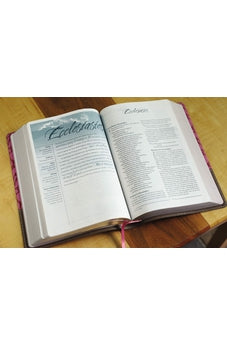 Image of NIV, Women's Devotional Bible, Large Print, Leathersoft, Brown/Pink