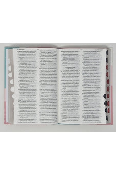 Biblia RVR 1960 Letra Grande Tamaño Manual Tapa Flex Pastel Tricolor con Índice