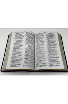 Biblia RVR 1960 Letra Grande Tamaño Manual Lila