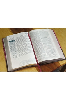 Image of NIV, Women's Devotional Bible, Large Print, Leathersoft, Brown/Pink