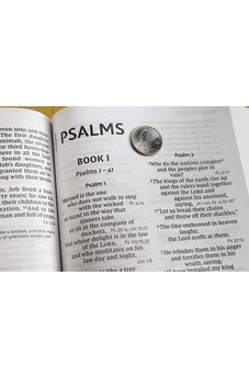 Image of NIV, Reference Bible, Giant Print, Paperback, Red Letter, Comfort Print